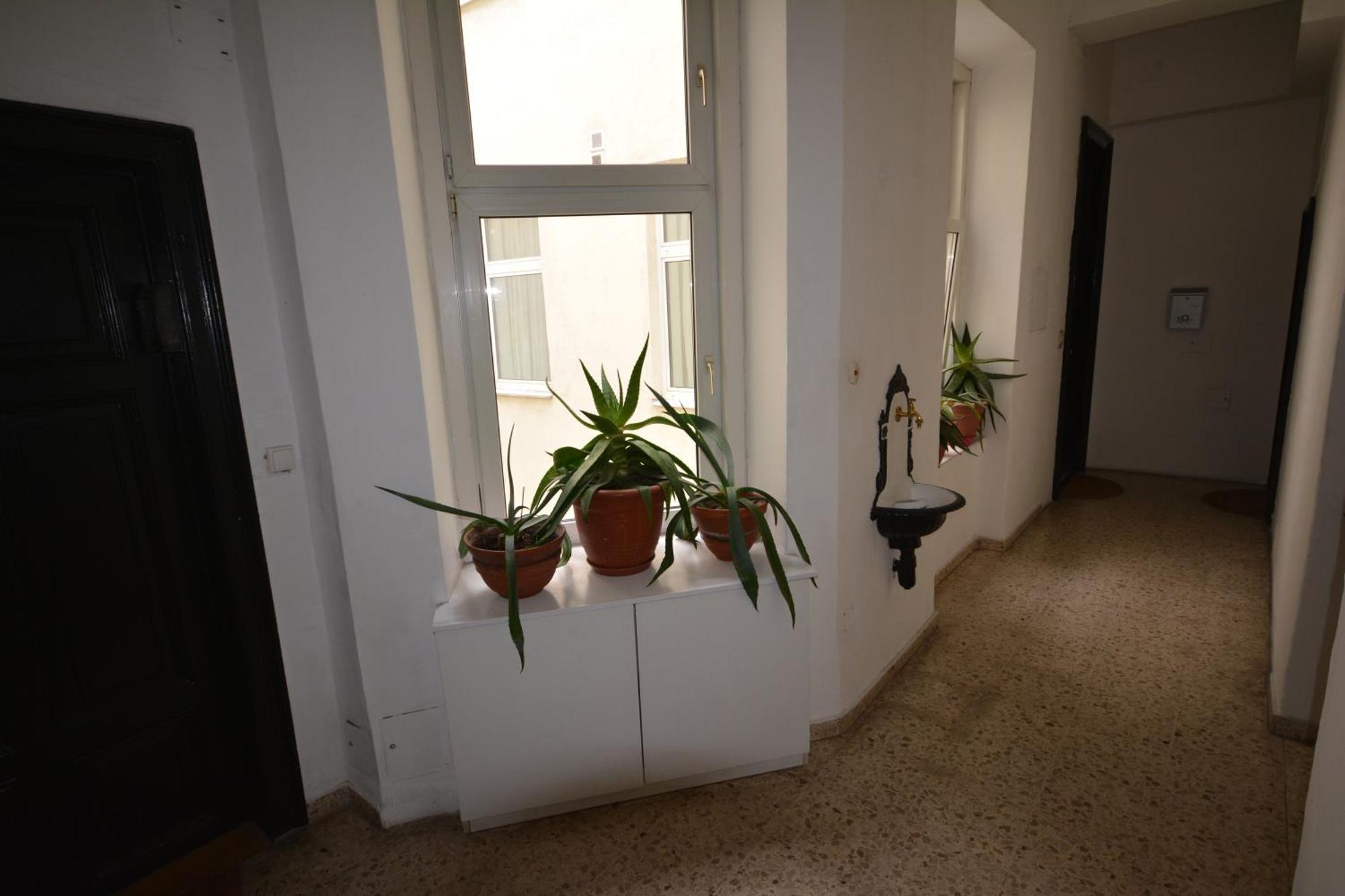 Vienna Holiday Apartments Esterno foto